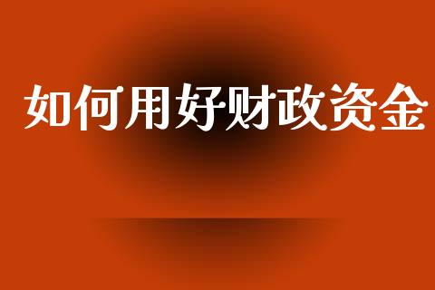 如何用好财政资金_https://www.fcdydaikuan.com_恒指期货直播_第1张