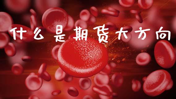 什么是期货大方向_https://www.fcdydaikuan.com_恒生指数直播室_第1张