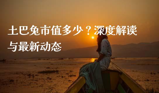 土巴兔市值多少？深度解读与最新动态_https://www.fcdydaikuan.com_德指期货直播_第1张