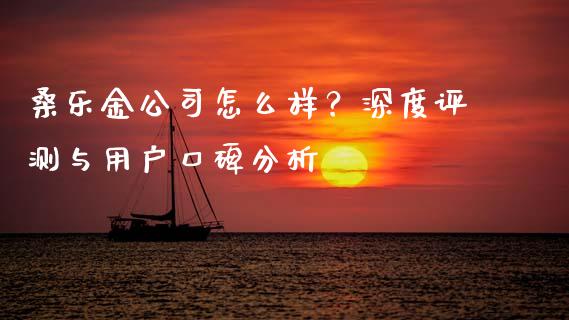 桑乐金公司怎么样？深度评测与用户口碑分析_https://www.fcdydaikuan.com_恒生指数直播室_第1张