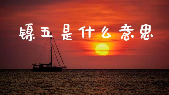 镍五是什么意思_https://www.fcdydaikuan.com_恒指期货直播_第1张