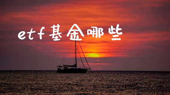 etf基金哪些_https://www.fcdydaikuan.com_德指期货直播_第1张