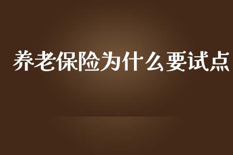 养老保险为什么要试点_https://www.fcdydaikuan.com_恒生指数直播室_第1张