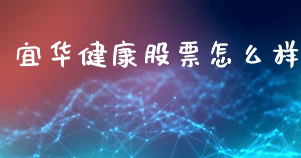 宜华健康股票怎么样_https://www.fcdydaikuan.com_恒指期货直播_第1张