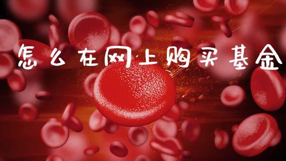 怎么在网上购买基金_https://www.fcdydaikuan.com_恒指期货直播_第1张