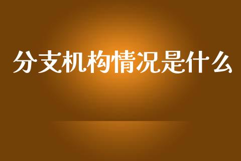 分支机构情况是什么_https://www.fcdydaikuan.com_德指期货直播_第1张