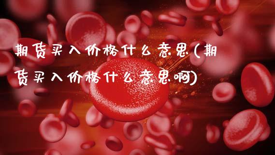 期货买入价格什么意思(期货买入价格什么意思啊)_https://www.fcdydaikuan.com_恒指期货直播_第1张