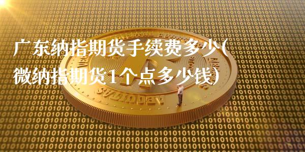 广东纳指期货手续费多少(微纳指期货1个点多少钱)_https://www.fcdydaikuan.com_德指期货直播_第1张