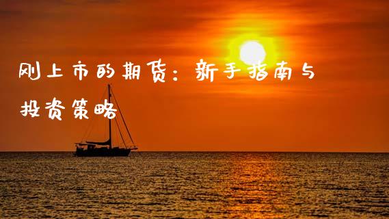 刚上市的期货：新手指南与投资策略_https://www.fcdydaikuan.com_黄金期货直播_第1张
