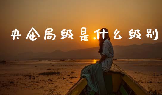 央企局级是什么级别_https://www.fcdydaikuan.com_黄金期货直播_第1张