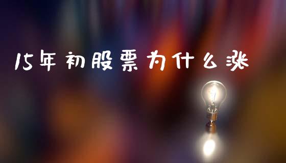 15年初股票为什么涨_https://www.fcdydaikuan.com_德指期货直播_第1张