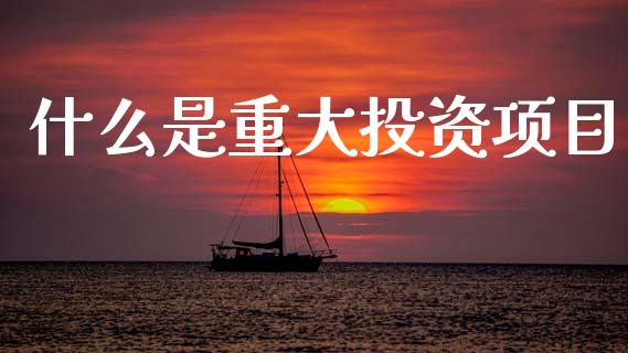什么是重大投资项目_https://www.fcdydaikuan.com_恒指期货直播_第1张