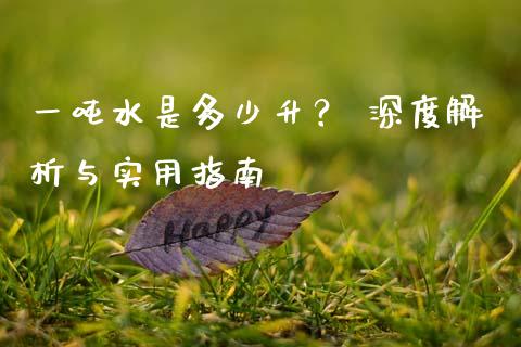 一吨水是多少升？ 深度解析与实用指南_https://www.fcdydaikuan.com_德指期货直播_第1张