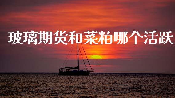 玻璃期货和菜粕哪个活跃_https://www.fcdydaikuan.com_德指期货直播_第1张
