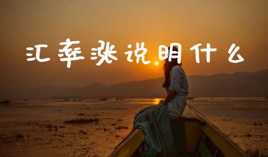 汇率涨说明什么_https://www.fcdydaikuan.com_恒指期货直播_第1张