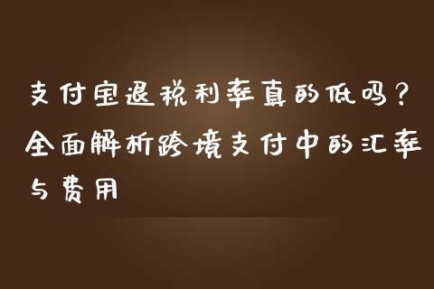 支付宝退税利率真的低吗？全面解析跨境支付中的汇率与费用_https://www.fcdydaikuan.com_德指期货直播_第1张
