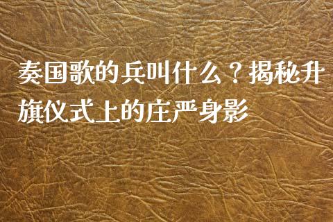 奏国歌的兵叫什么？揭秘升旗仪式上的庄严身影_https://www.fcdydaikuan.com_恒指期货直播_第1张