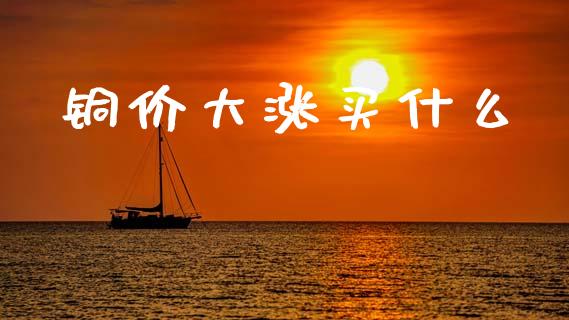 铜价大涨买什么_https://www.fcdydaikuan.com_黄金期货直播_第1张