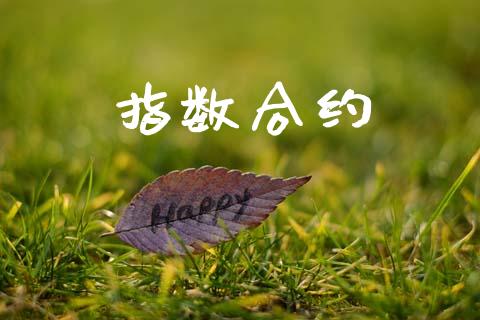 指数合约_https://www.fcdydaikuan.com_黄金期货直播_第1张