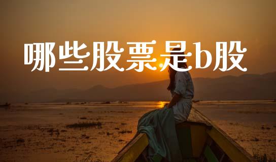 哪些股票是b股_https://www.fcdydaikuan.com_德指期货直播_第1张