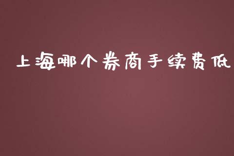 上海哪个券商手续费低_https://www.fcdydaikuan.com_恒指期货直播_第1张