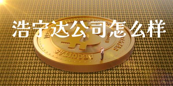 浩宁达公司怎么样_https://www.fcdydaikuan.com_黄金期货直播_第1张