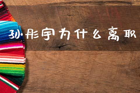 孙彤宇为什么离职_https://www.fcdydaikuan.com_恒指期货直播_第1张