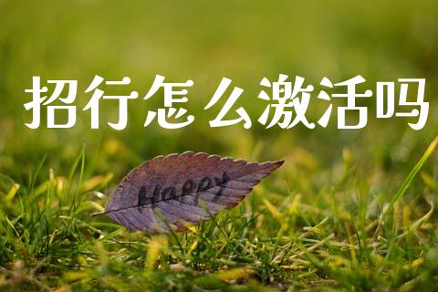 招行怎么激活吗_https://www.fcdydaikuan.com_德指期货直播_第1张