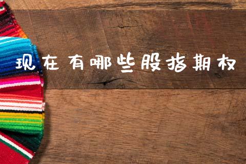 现在有哪些股指期权_https://www.fcdydaikuan.com_德指期货直播_第1张