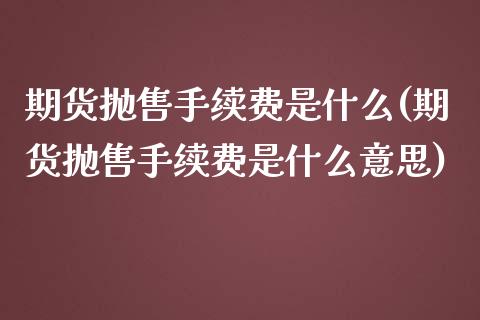 期货抛售手续费是什么(期货抛售手续费是什么意思)_https://www.fcdydaikuan.com_黄金期货直播_第1张