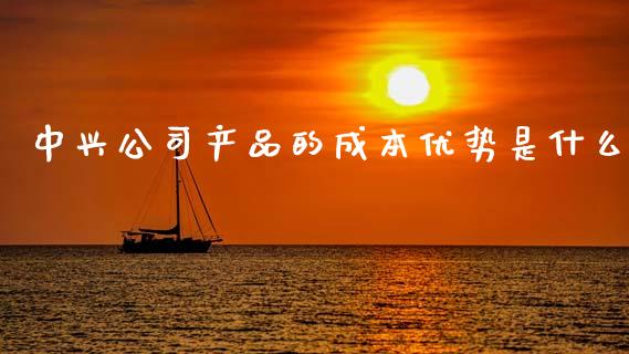 中兴公司产品的成本优势是什么_https://www.fcdydaikuan.com_恒生指数直播室_第1张