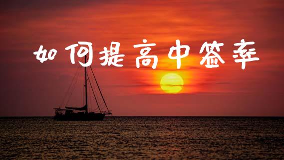 如何提高中签率_https://www.fcdydaikuan.com_恒指期货直播_第1张