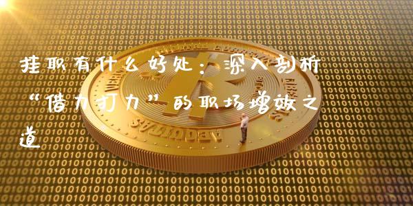 挂职有什么好处：深入剖析“借力打力”的职场增效之道_https://www.fcdydaikuan.com_恒生指数直播室_第1张