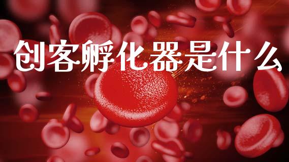 创客孵化器是什么_https://www.fcdydaikuan.com_恒生指数直播室_第1张