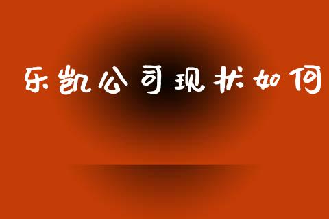 乐凯公司现状如何_https://www.fcdydaikuan.com_黄金期货直播_第1张