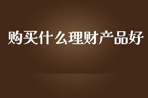 购买什么理财产品好_https://www.fcdydaikuan.com_德指期货直播_第1张