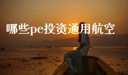 哪些pe投资通用航空_https://www.fcdydaikuan.com_黄金期货直播_第1张