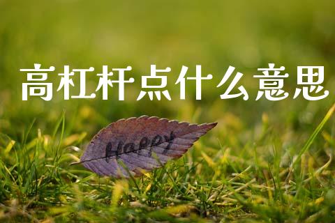 高杠杆点什么意思_https://www.fcdydaikuan.com_恒指期货直播_第1张
