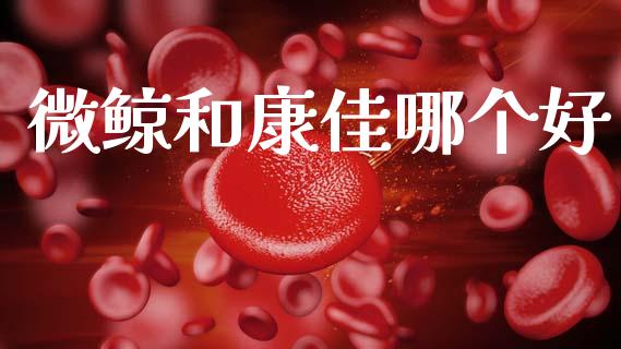 微鲸和康佳哪个好_https://www.fcdydaikuan.com_恒指期货直播_第1张