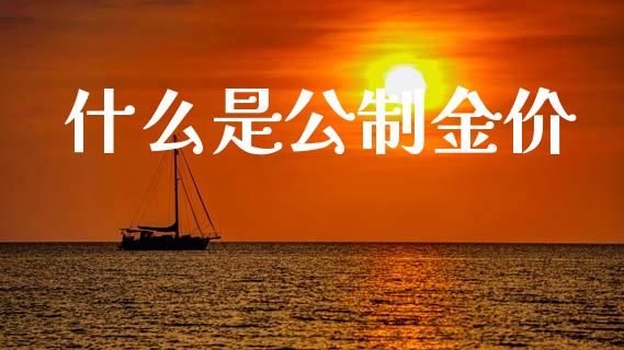 什么是公制金价_https://www.fcdydaikuan.com_恒指期货直播_第1张