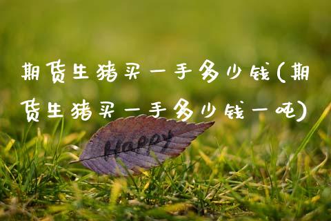 期货生猪买一手多少钱(期货生猪买一手多少钱一吨)_https://www.fcdydaikuan.com_恒生指数直播室_第1张