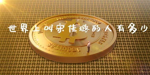 世界上叫宋佳璐的人有多少_https://www.fcdydaikuan.com_恒指期货直播_第1张