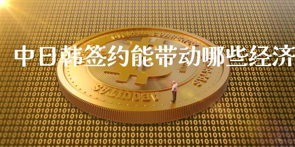 中日韩签约能带动哪些经济_https://www.fcdydaikuan.com_恒生指数直播室_第1张