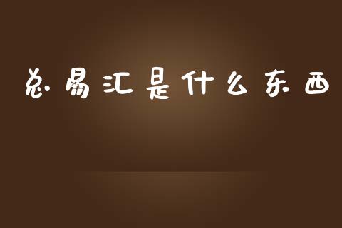 总易汇是什么东西_https://www.fcdydaikuan.com_德指期货直播_第1张