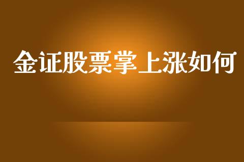 金证股票掌上涨如何_https://www.fcdydaikuan.com_黄金期货直播_第1张