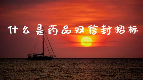 什么是药品双信封招标_https://www.fcdydaikuan.com_恒指期货直播_第1张