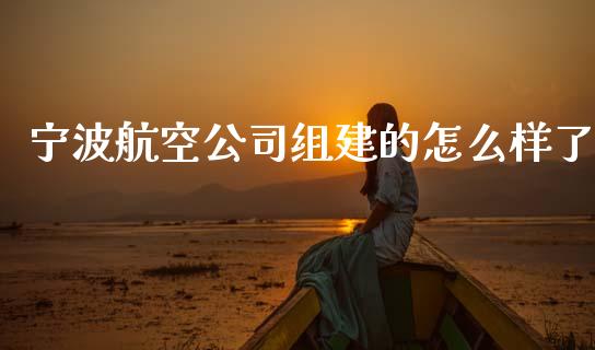 宁波航空公司组建的怎么样了_https://www.fcdydaikuan.com_德指期货直播_第1张