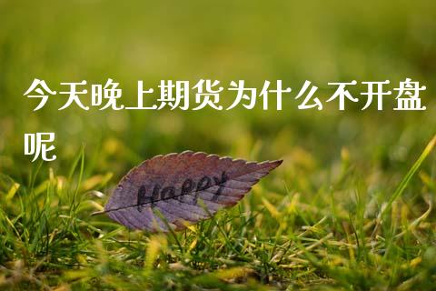 今天晚上期货为什么不开盘呢_https://www.fcdydaikuan.com_恒指期货直播_第1张