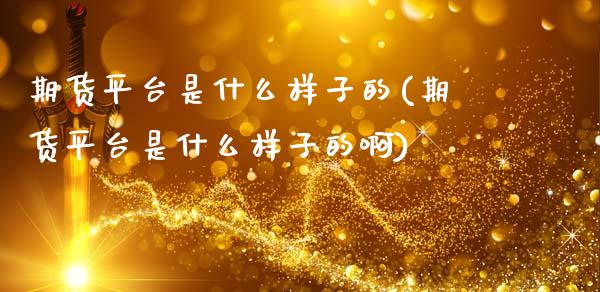 期货平台是什么样子的(期货平台是什么样子的啊)_https://www.fcdydaikuan.com_德指期货直播_第1张
