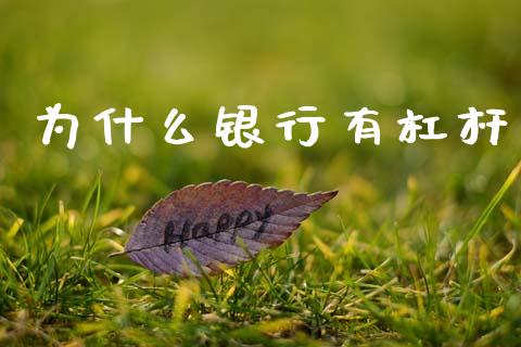 为什么银行有杠杆_https://www.fcdydaikuan.com_恒指期货直播_第1张